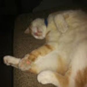 Meet your Posher, Ciara